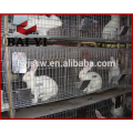 Fábrica vendedora caliente del conejo de la granja del conejo de Instridual para el conejito